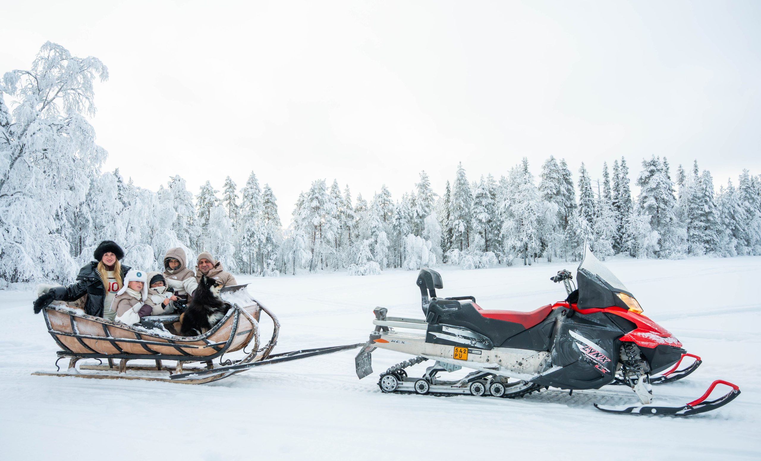 Can you fully customize every activity on a private Lapland holiday?