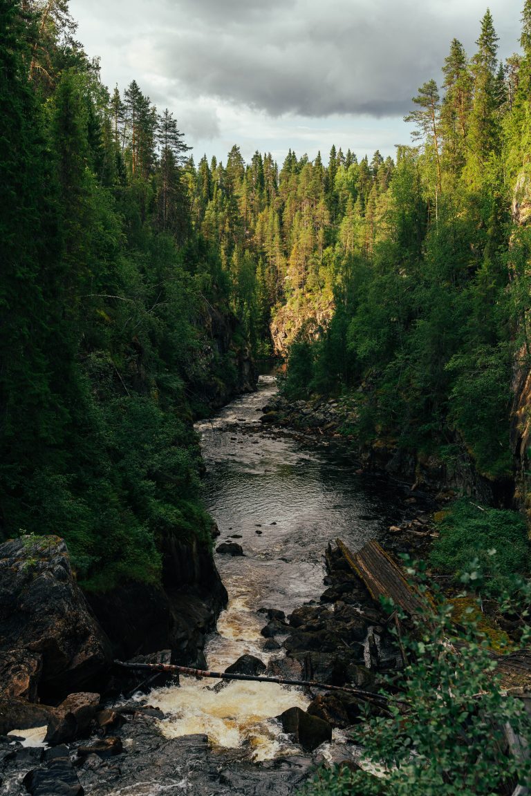 A river winds through a rocky canyon flanked by dense green forest under a cloudy sky.