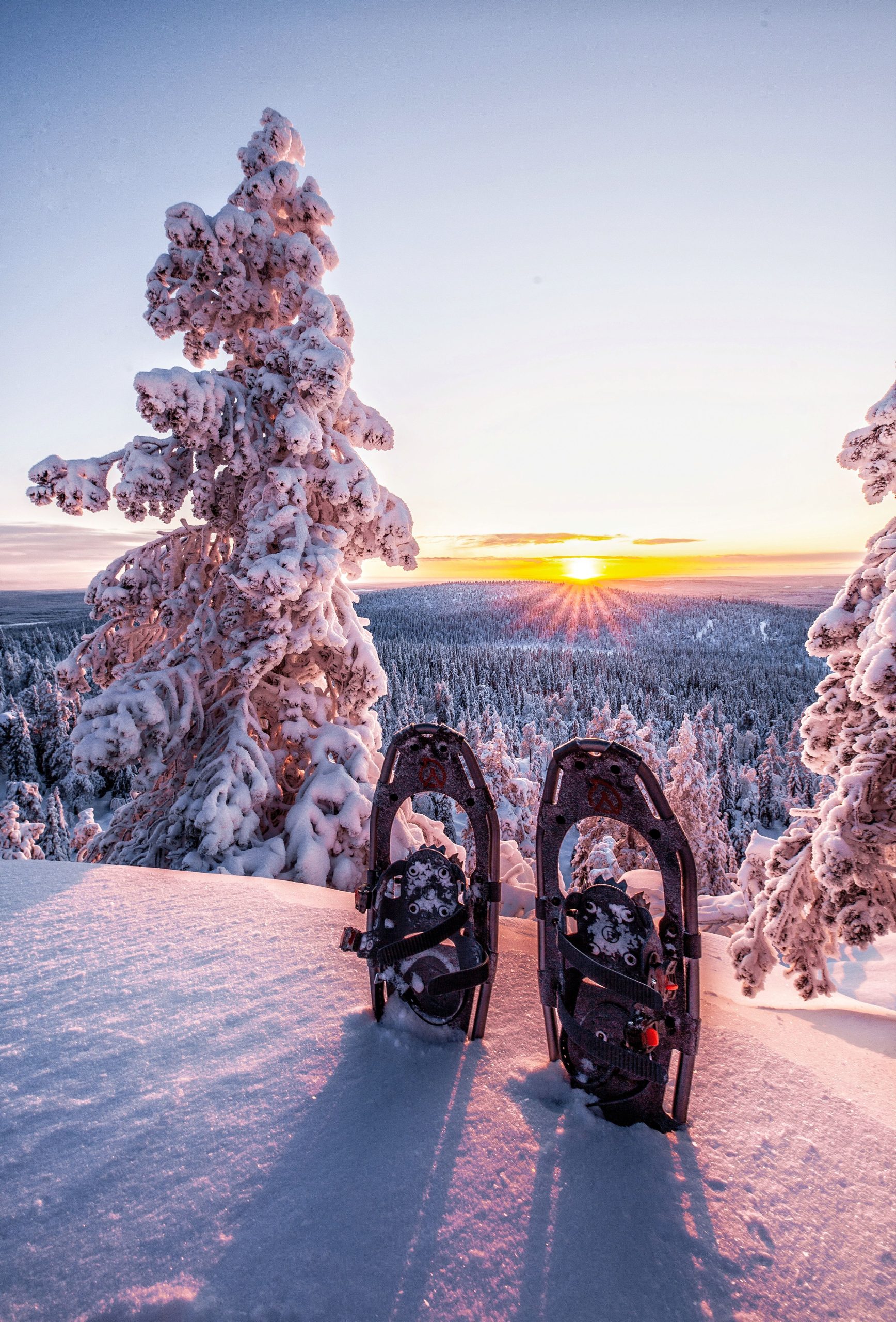 How far in advance should you book a bespoke Lapland winter trip?