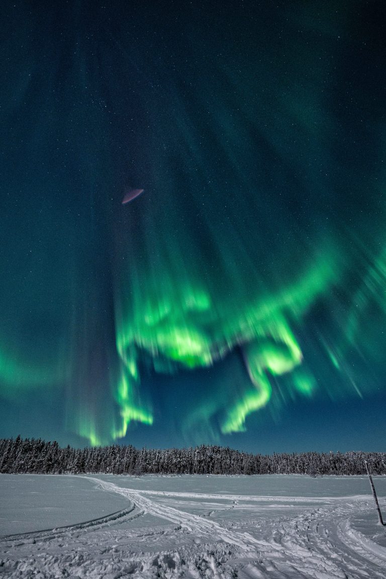Snowmobile Night Safari