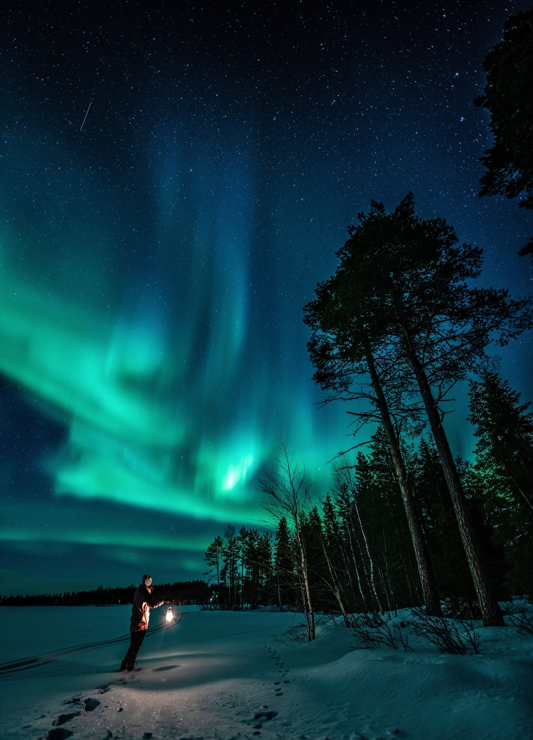 Northern Lights Hunting