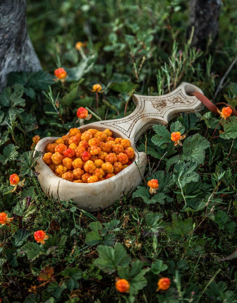 Lapland Berries Workshop