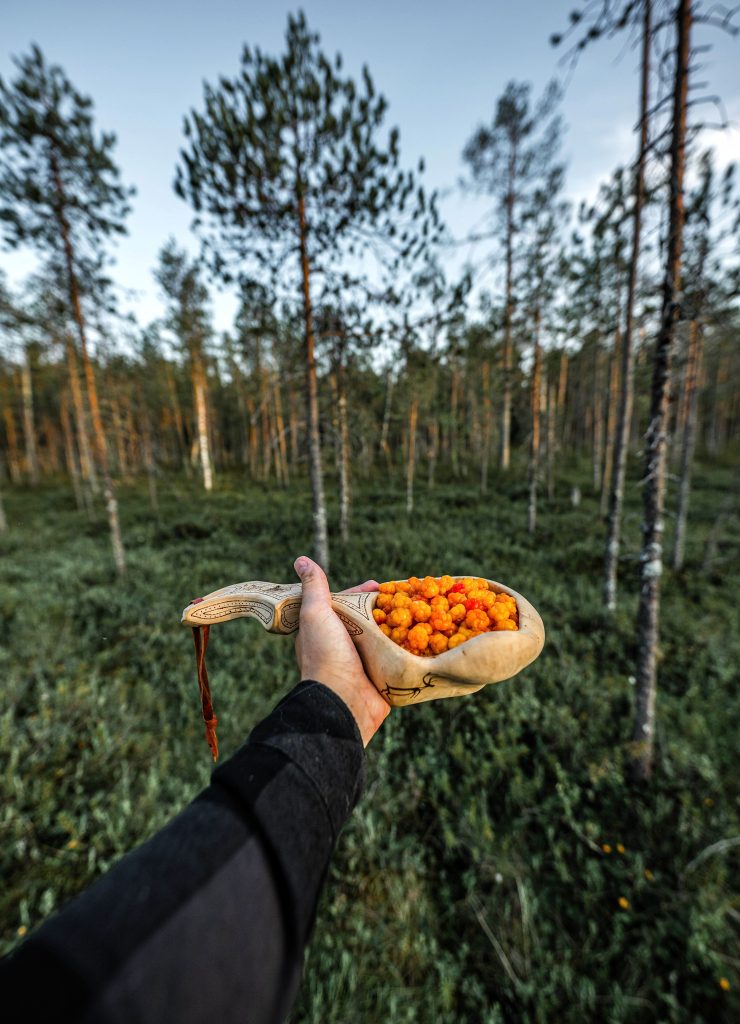 Close-up of a handful of freshly picked Arctic cloudberries, also known as Lapland's gold.