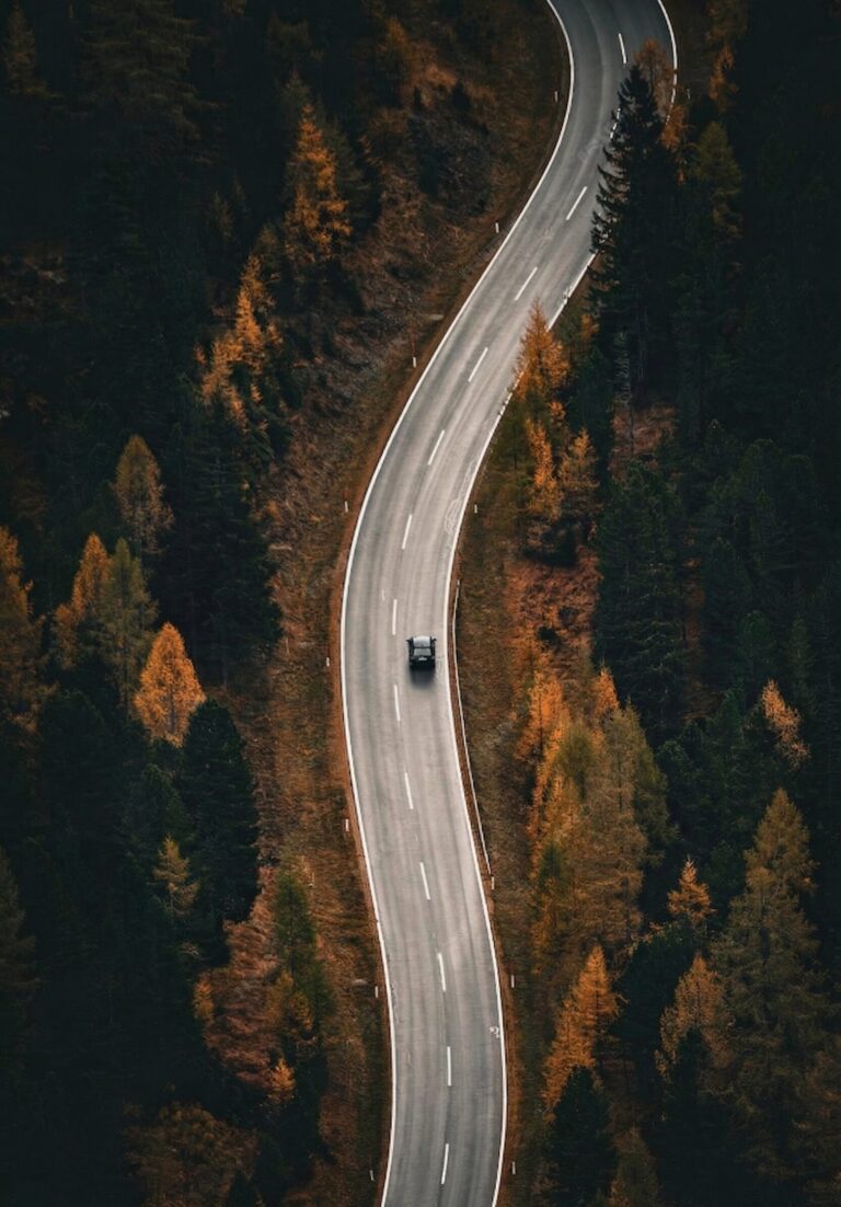 Transfer Rovaniemi-Ranua-Rovaniemi