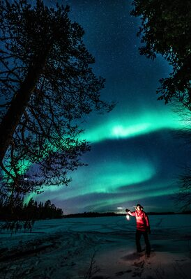 What winter activities can you do privately in Finnish Lapland?