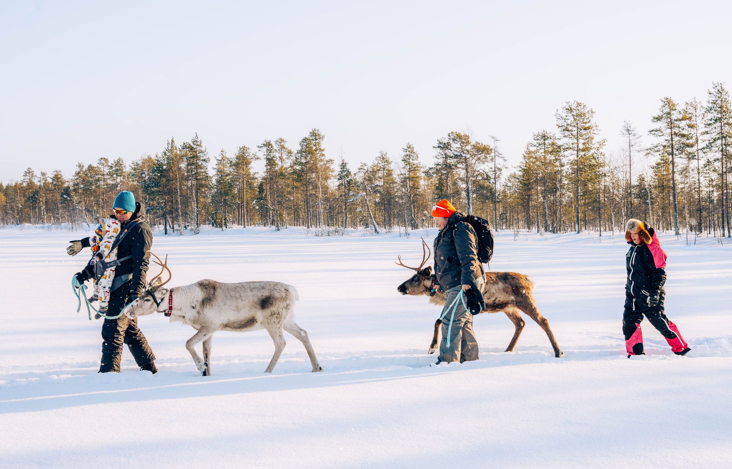 Should you book a private villa or a luxury resort for a Lapland honeymoon?