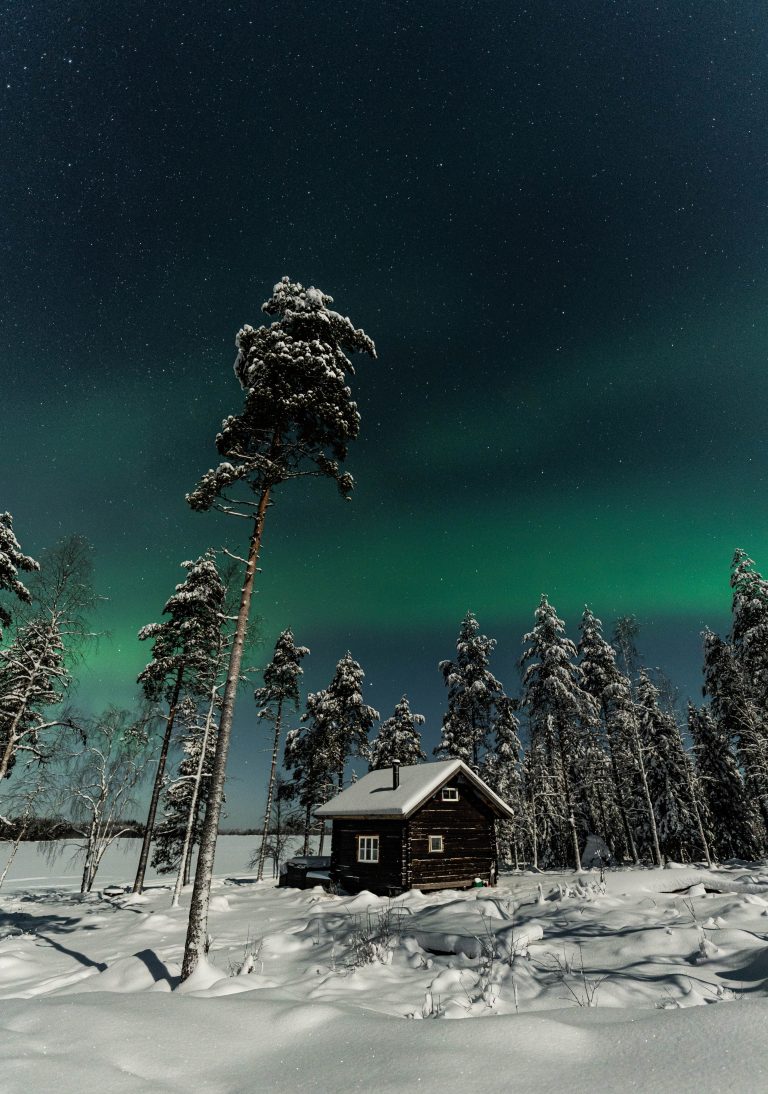 True Sauna Experience