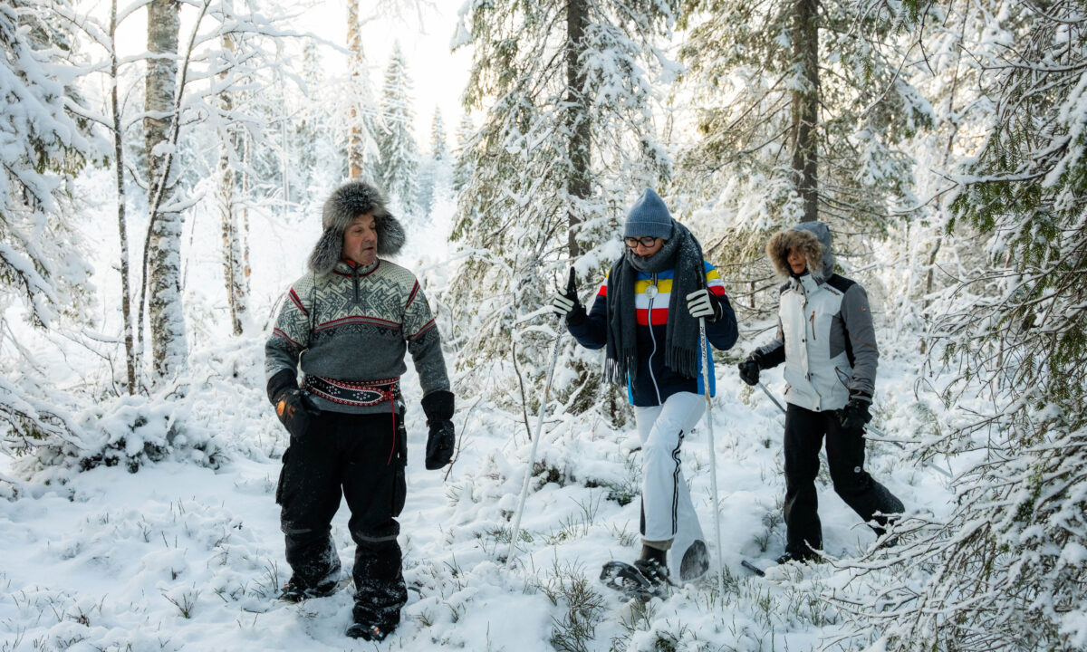 What does a private chauffeur service add to a Lapland holiday?