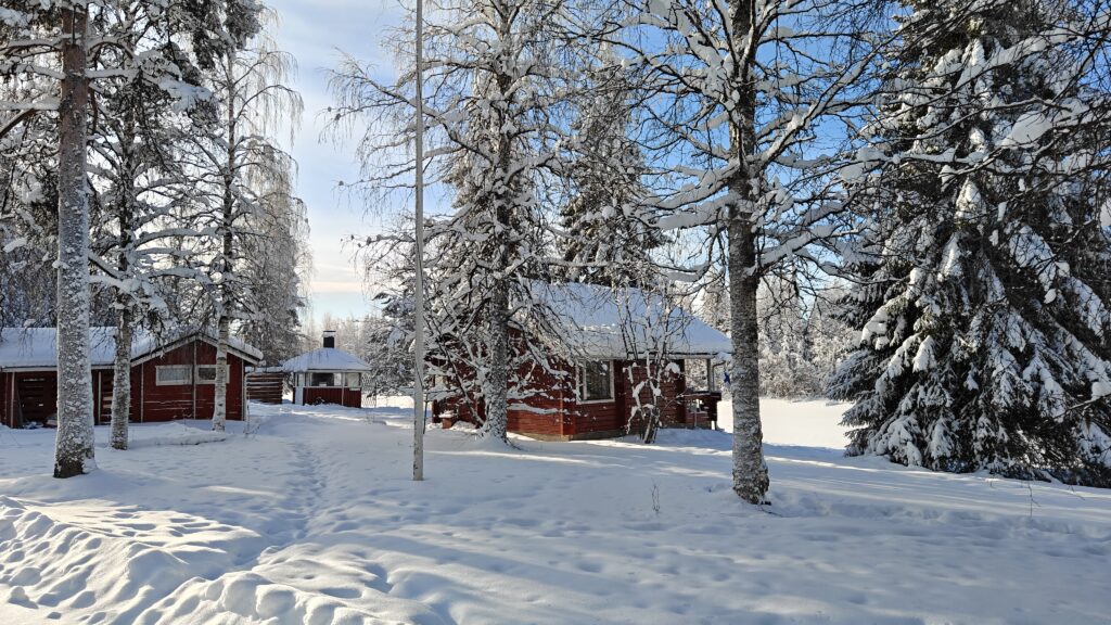 talvi