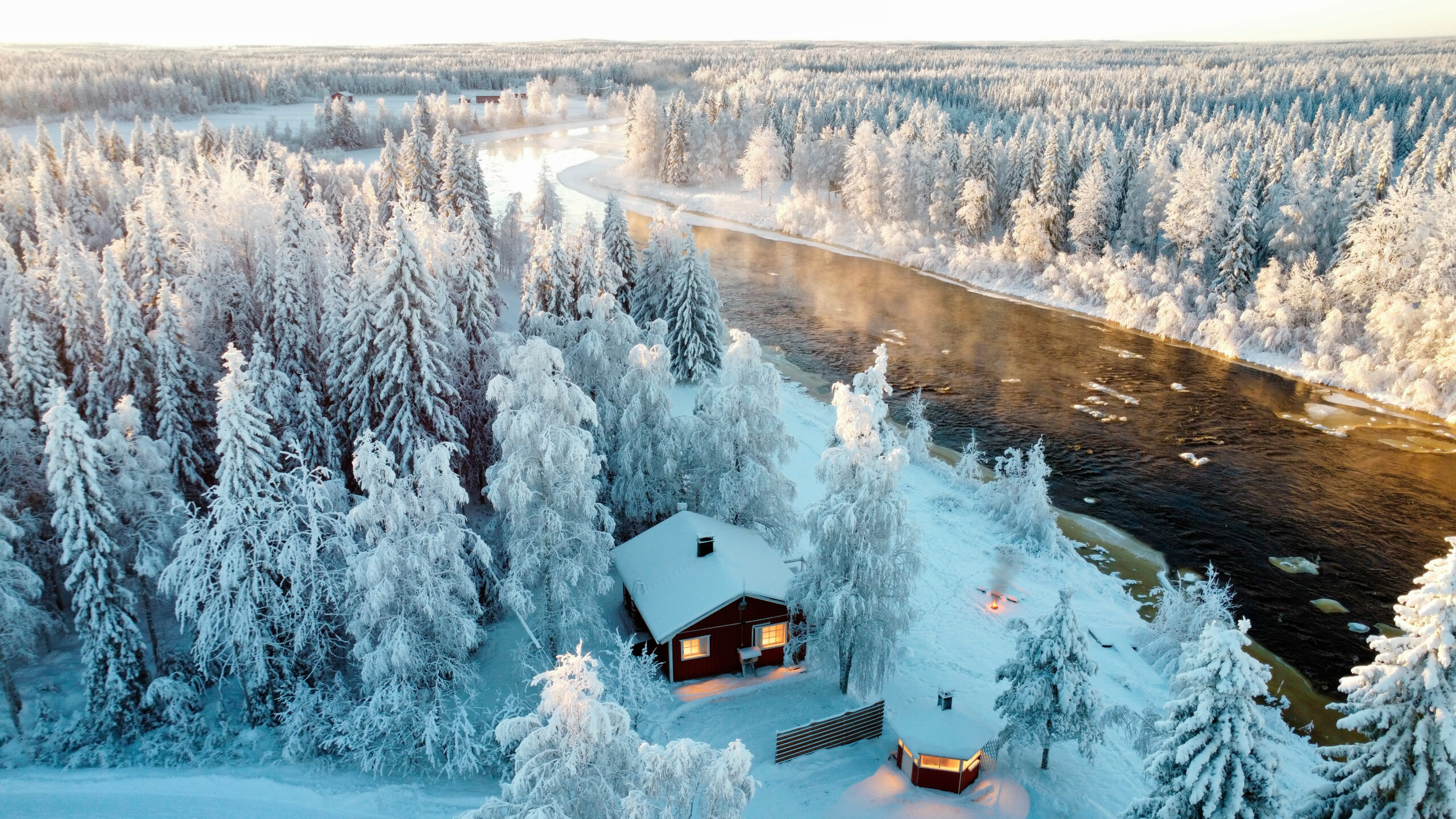Arctic Taiga
